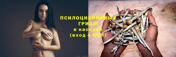 гидра Бронницы