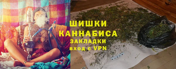 гидра Бронницы