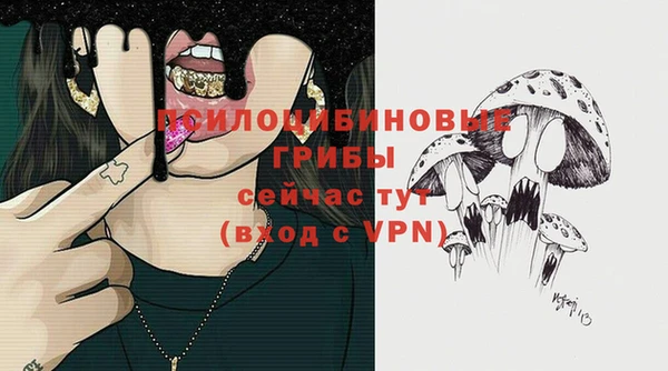 первитин Бородино