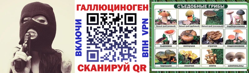 Купить закладки Боготол Галлюциногенные грибы мицелий